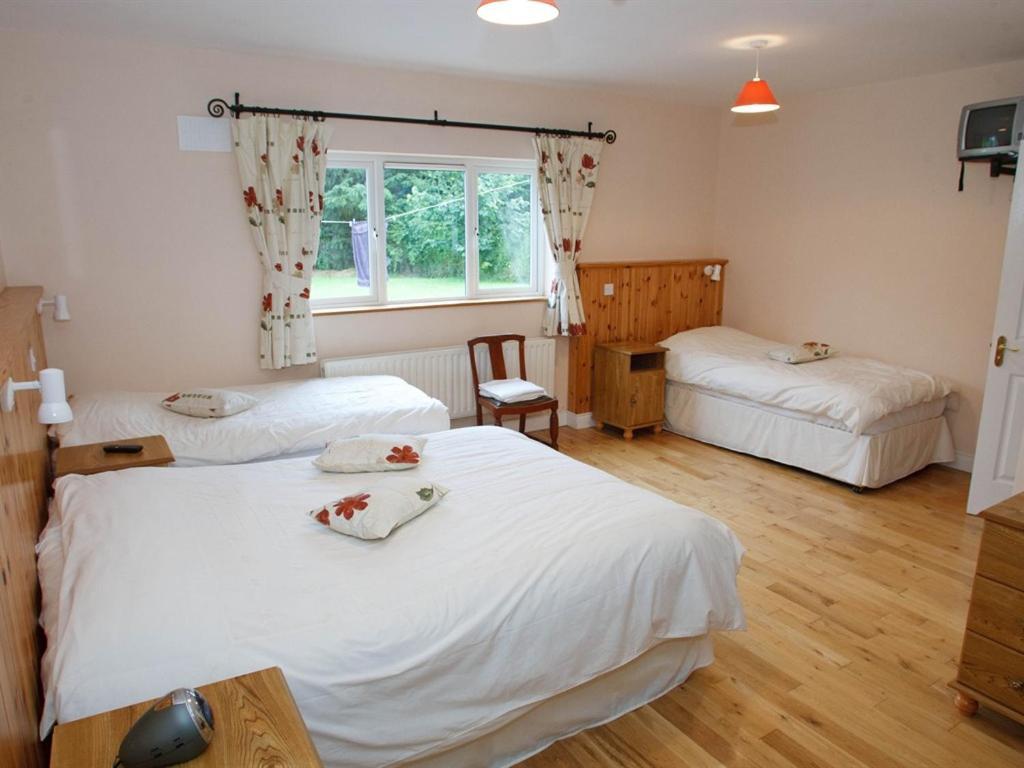 ดัน โครเมน เบด แอนด์ เบรกฟาสต์ Bed & Breakfast Banagher ภายนอก รูปภาพ