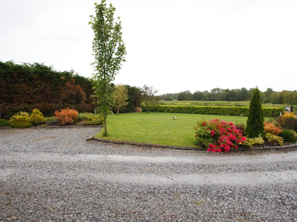 ดัน โครเมน เบด แอนด์ เบรกฟาสต์ Bed & Breakfast Banagher ภายนอก รูปภาพ