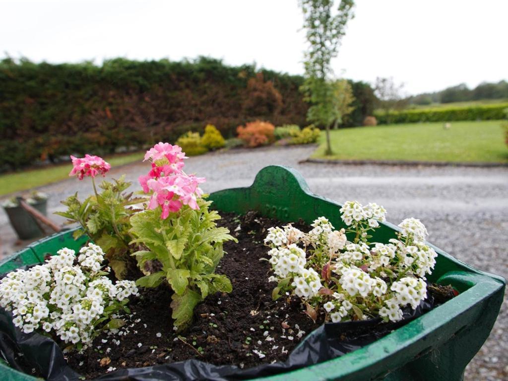 ดัน โครเมน เบด แอนด์ เบรกฟาสต์ Bed & Breakfast Banagher ภายนอก รูปภาพ
